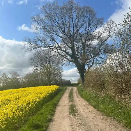 Beach54 Wellness-loft Daire *