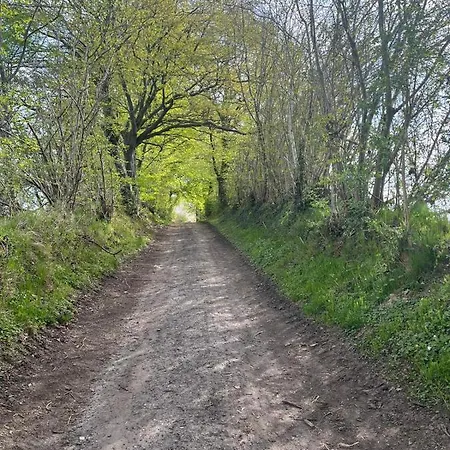 Beach54 Wellness-loft *